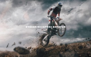 壹号娱乐官网-威尔士队壮志凌云 喜迎欧洲杯正赛